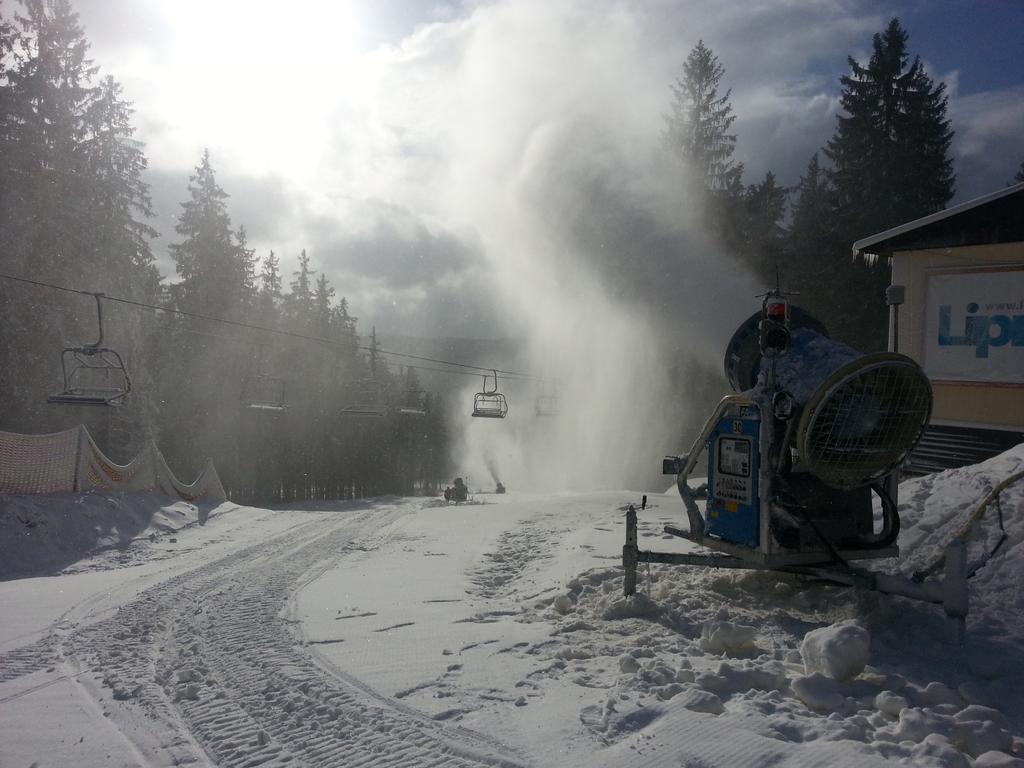 Mysi V Bote Lipno Apartman Lipno nad Vltavou Kültér fotó